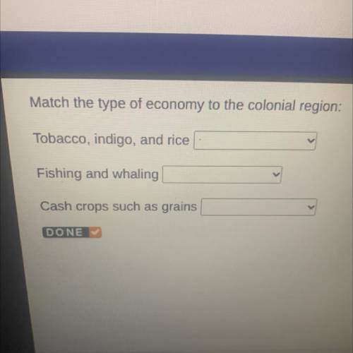 Match the type of economy to the colonial region:

Tobacco, indigo, and rice
Fishing and whaling
C