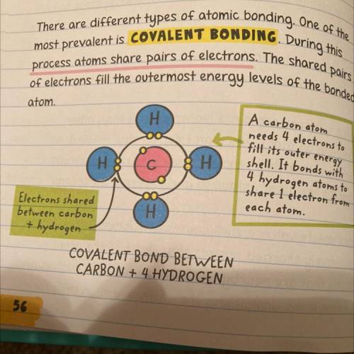 A water molecule (H2O) is an example of a covalent bond because…?

The hydrogen gains an electron a