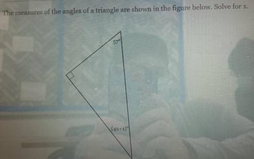 Can someone tell me the answer for this please?