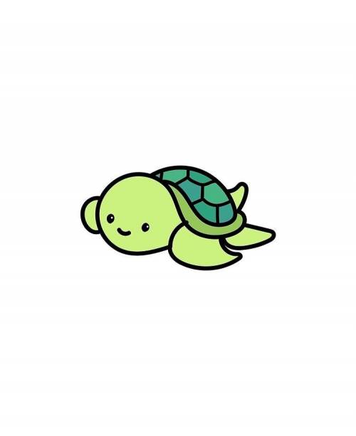Turtle Landing 
1. 
2. 
3. 
4.