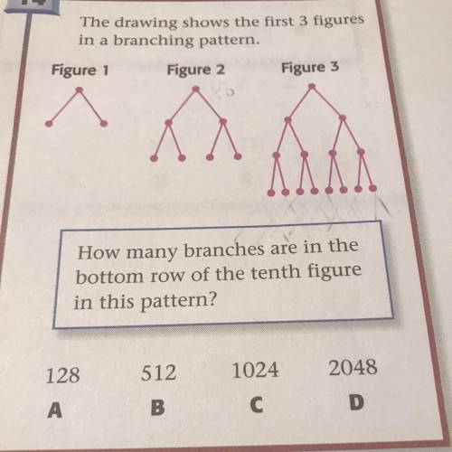The drawing shows the first 3 figures

in a branching pattern.
Figure 1
Figure 2
Figure 3
How many