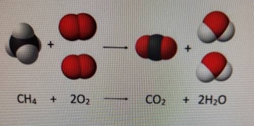 1 does this equation represent a physical or chemical change

2 give one reason that supports if i