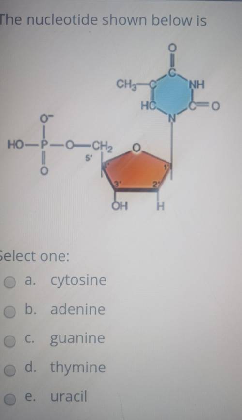 The nucleotide shown below is Select one:

a. cytosine b. adenine c. guanine d. thymine e. uracil