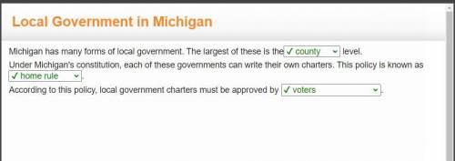 Michigan has many forms of local government. The largest of these is the _____

level.
Under Mich