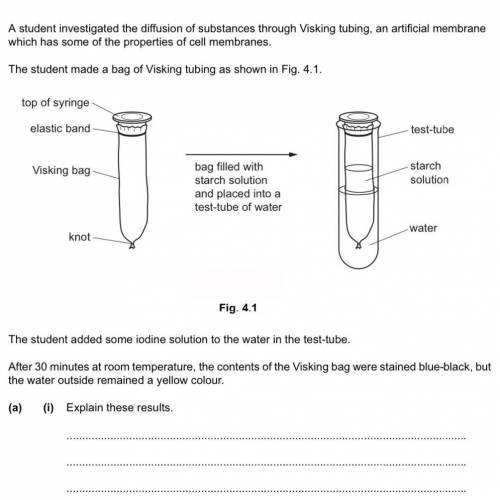 A student investigated