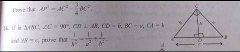 If in ∆ABC , ∠C = 90° , CD⏊AB, CD = h, BC = a, CA = b and AB = c, prove that 1/h² = 1/a² + 1/b².