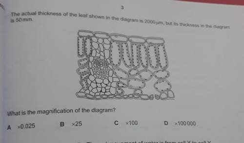 Can someone please explain me this problem