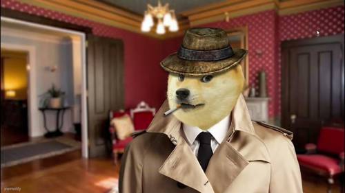 Hello detective doge here i am kinda bored wondering if anyone has any detective work for me