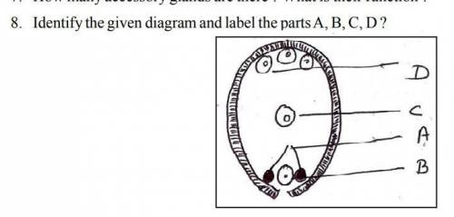 Identify the given diagrama and label the parts A, B, C, D.