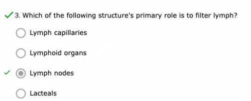 Which of the following structure's primary role is to filter lymph?