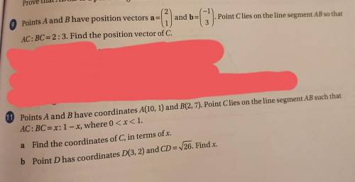 I can't figure out Q9 and Q11 (vectors)