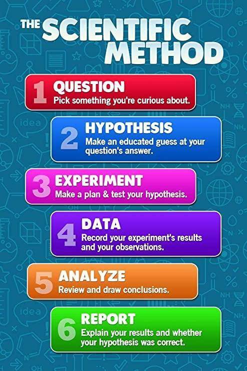 What is there next step in scientific method following data collection