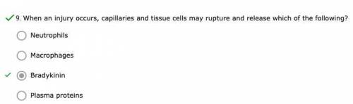 When an injury occurs, capillaries and tissue cells may rupture and release which of the following?