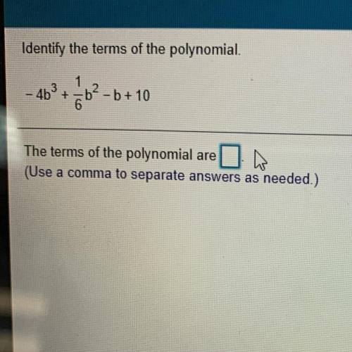 Identify the terms of the polynomial.

1
3
-4b+-bº-b+10
6
The terms of the polynomial are | A
(Use