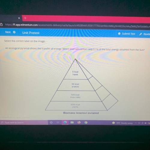 Select the correct label on the image.

Reader Tools
An ecological pyramid shows the transfer of e
