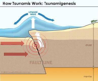 PLZ HURRY

A drawing titled How Tsunami's work, Tsunami genesis. When one tectonic plate pushes ag