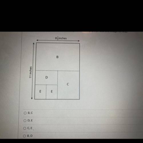 In today’s lesson you voted a sheet of paper multiple times. Identify the rectangles that were scal
