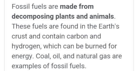What is the fossil fuel cycle in social studies