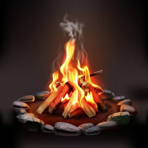When burning a campfire, how would the mass of the products of burning (ash, soot, etc.) compare t