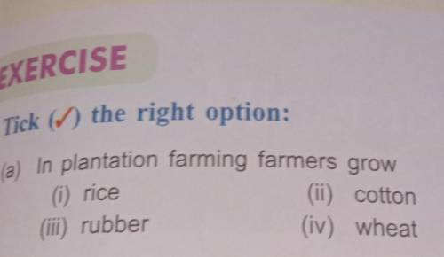 4. Tick () the right option: (a) In plantation farming farmers grow (ii) cotton (iv) wheat (1) rice