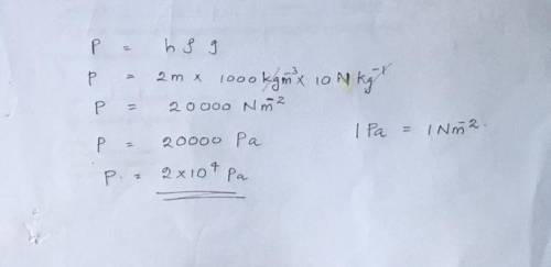 Calculate the pressure increase at the bottom of a pool of depth 2m. Density of water=1000kg/m^3 g=1