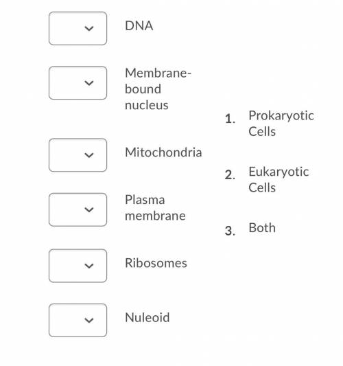 Which features are found only in eukaryotes, only in prokaryotes, or in both eukaryotes and prokary