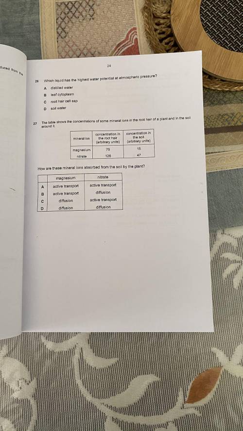 Please help me with all of the mcqs