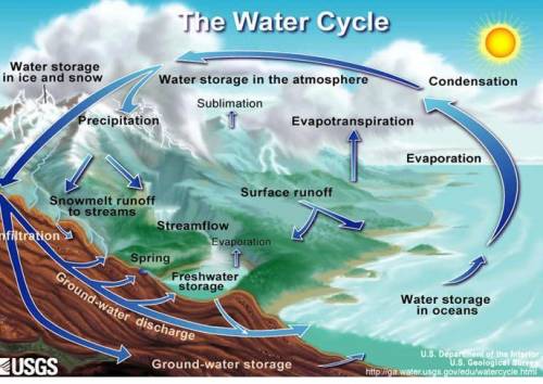 The water cycle

Include THREE pathways water can travel.
Each pathway must include a reservoir (s