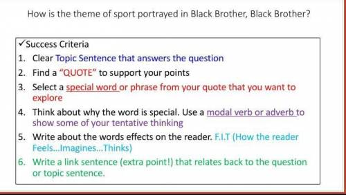 If anyone has read the book black brother black brother

How is the theme of sports portrayed in