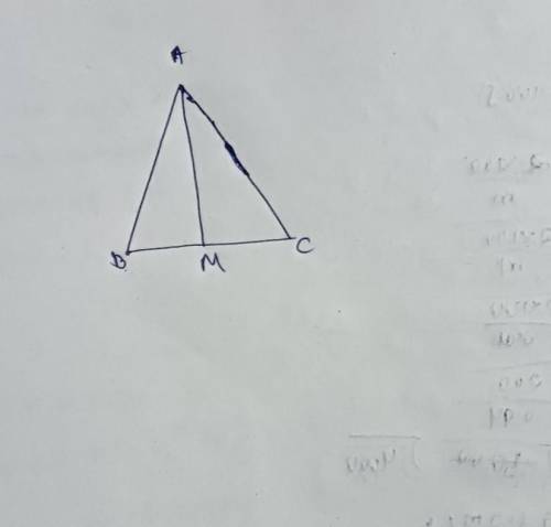 the median line AM of the triangle ABC is half the length of the side towards which it is drawn, lin