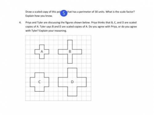 Draw a scaled copy of this polygon that has a perimeter of 30 units. What is the scale factor? Expl