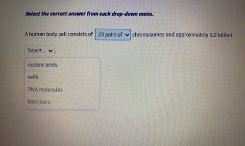What’s the answer for the 2nd choice box?? 
bio
pls help!!