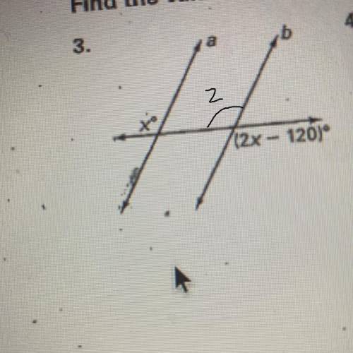 Find the value of x please