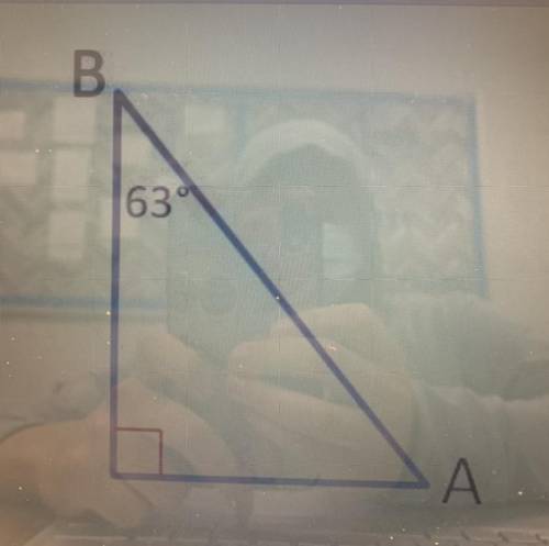 Find the missing angle measure.
Can someone tell me the answer to this please
