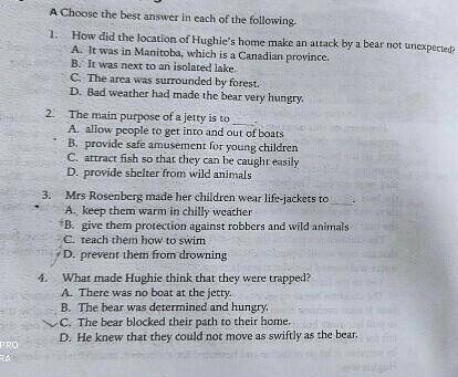 Hii can somebody please help answer these?! i'll mark you as brainiest and i'll follow you:)

no l