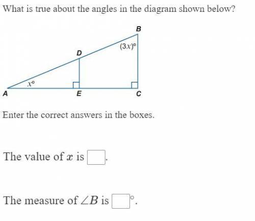What is true about the angles in the diagram shown below?

Enter the correct answers in the boxes.