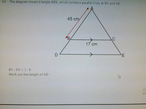 Please could I have some help with this question? Thanks