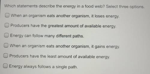 Which statement describes the energy in a food web? Select three options.