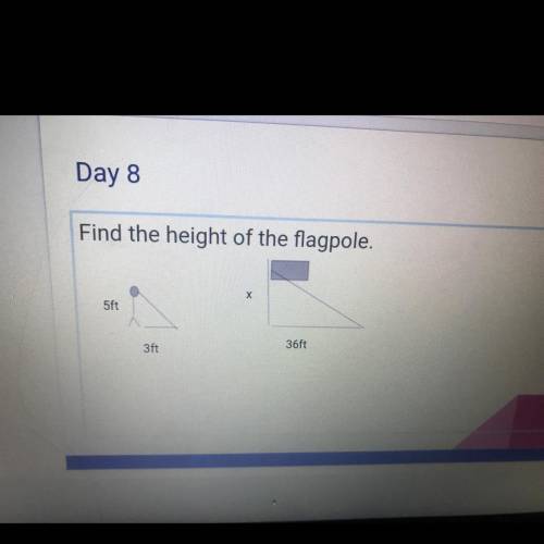 Find the height of the flag pole