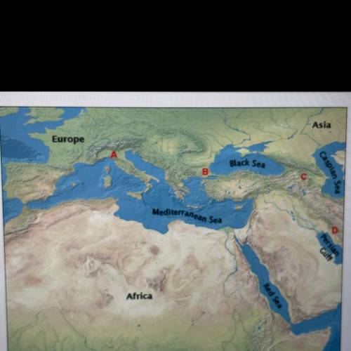 PLS HURRY!!!

which region on this map has a population of mostly Sunni Muslims ruled over by non-