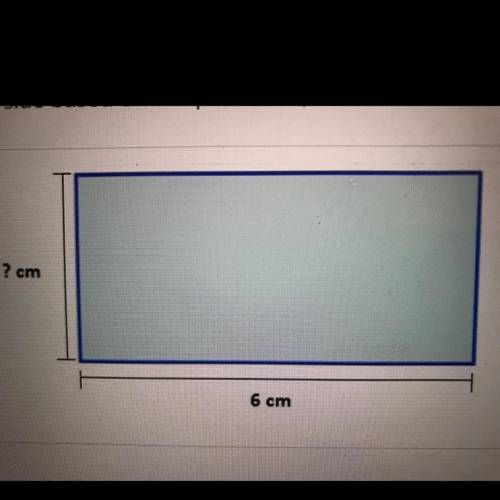 If the area of this rectangle is 30cm square what would the missing side be?