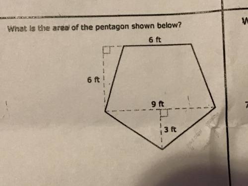 I’m confused on how to solve 
what’s the area??