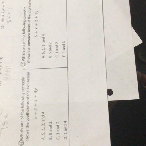 Can someone please help me w 16 & 17 PLEASE show work. (7thgardemath)
