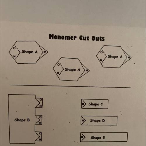 Monomer Cut Outs

Shape A
Shape A
Shape A
What monomer does shape A represent when put together