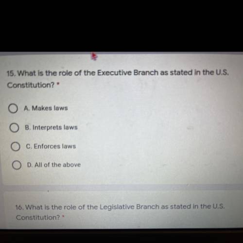 15. What is the role of the Executive Branch as stated in the U.S.

Constitution? *
5 points
O A.