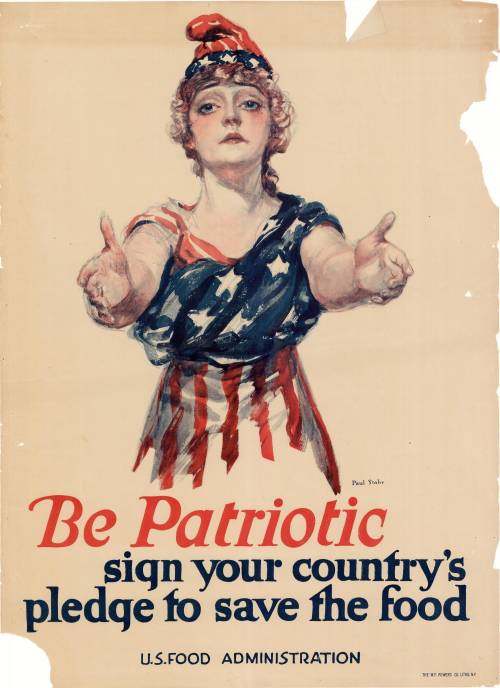 Write a well-organized essay analyzing the effectiveness of propaganda in a World War I poster. Rem