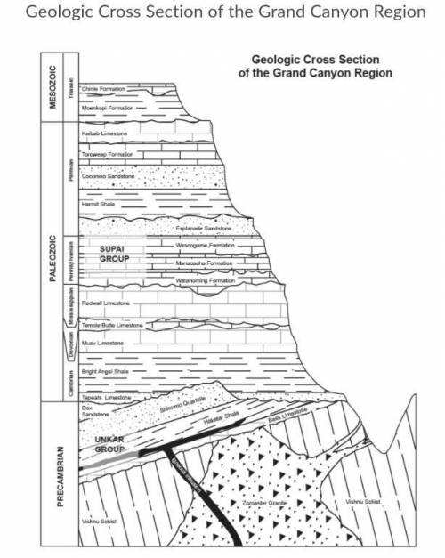Look at the image. Which rock layer is the oldest?

options:
Bright Angle Shale
Vishnu Shist 
Zora