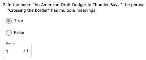 In the poem An American Draft Dodger in Thunder Bay,  the phrase Crossing the border has multip