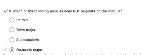 Which of the following muscles does NOT originate on the scapula?