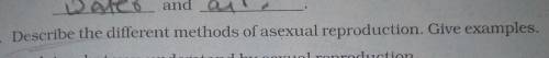 Answer pleaseDescribe the different methods of asexual reproduction. Give examples